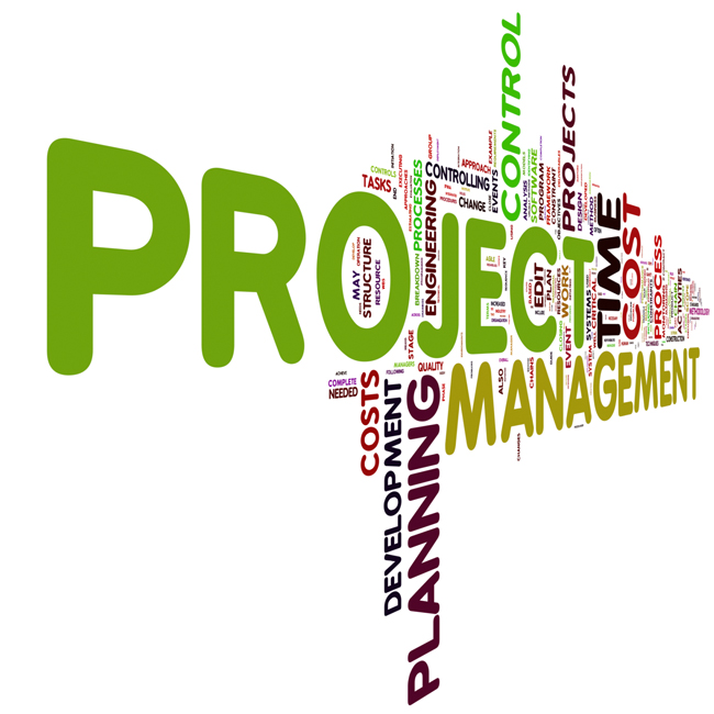 Program Management